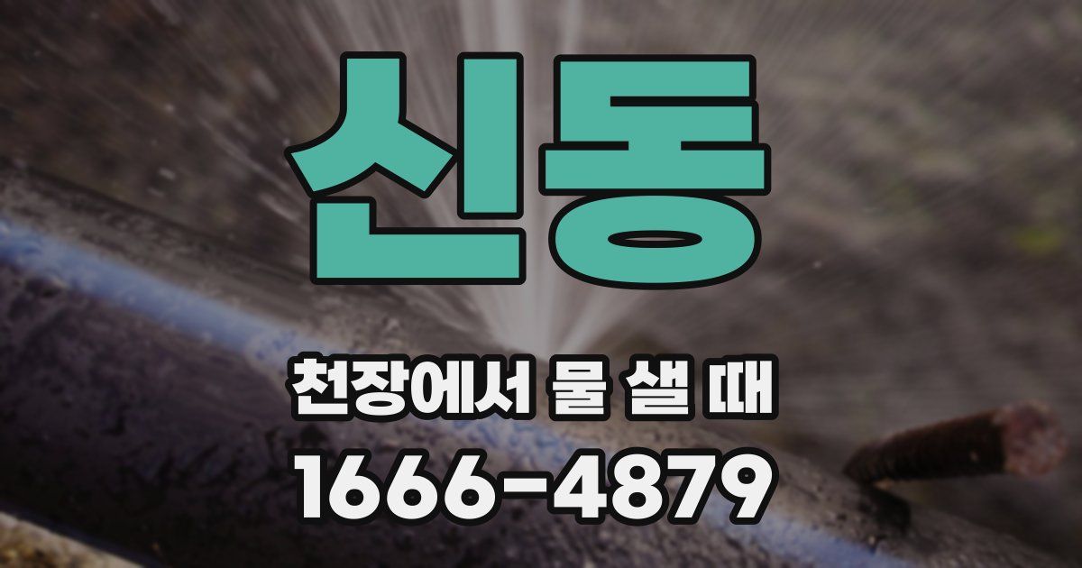 신동 천장에서 물 샐 때