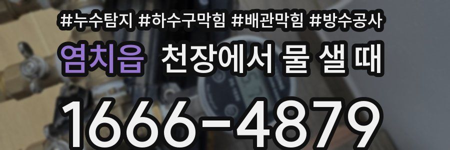 염치읍 천장에서 물 샐 때