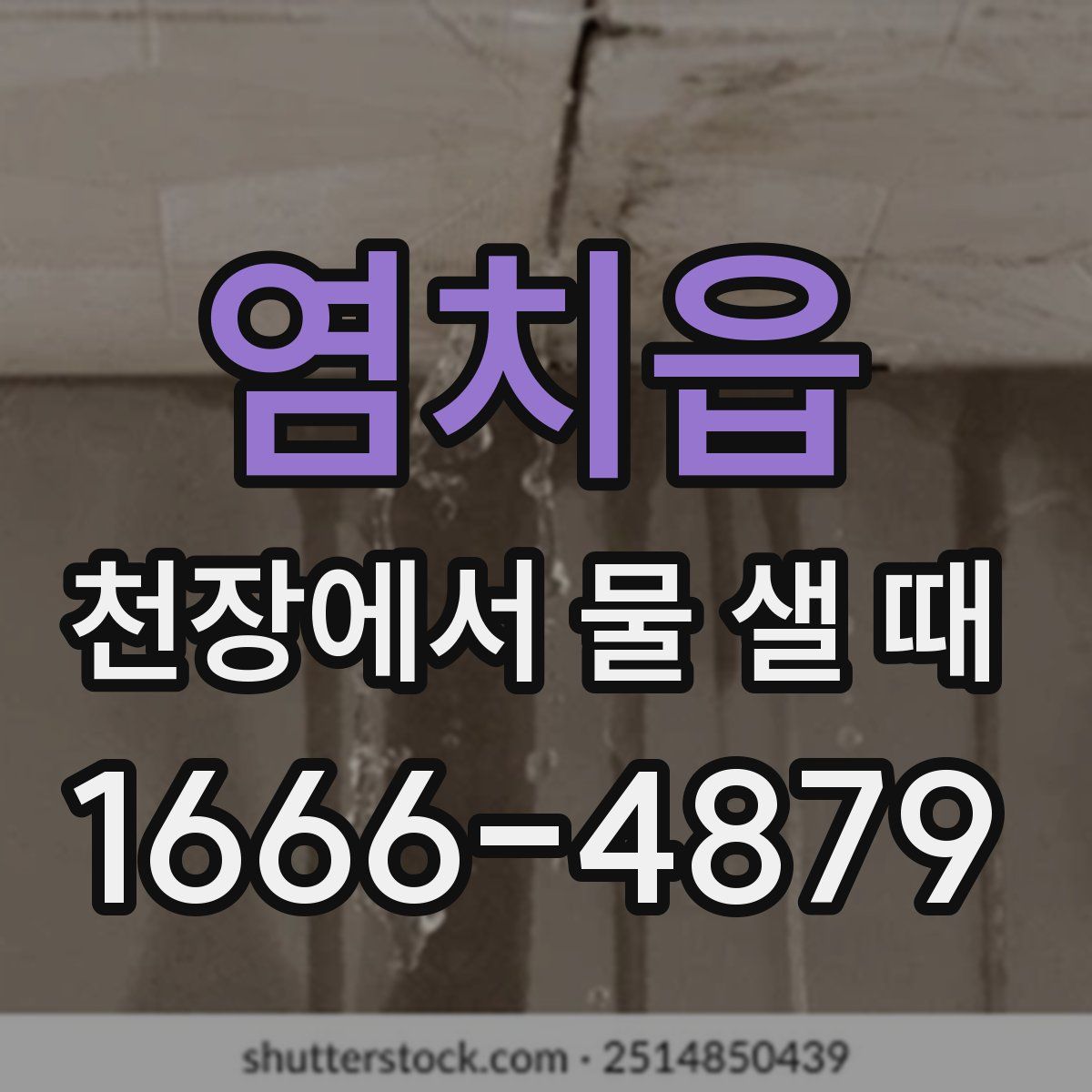 염치읍 천장에서 물 샐 때