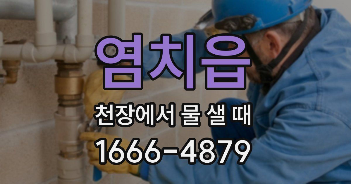 염치읍 천장에서 물 샐 때