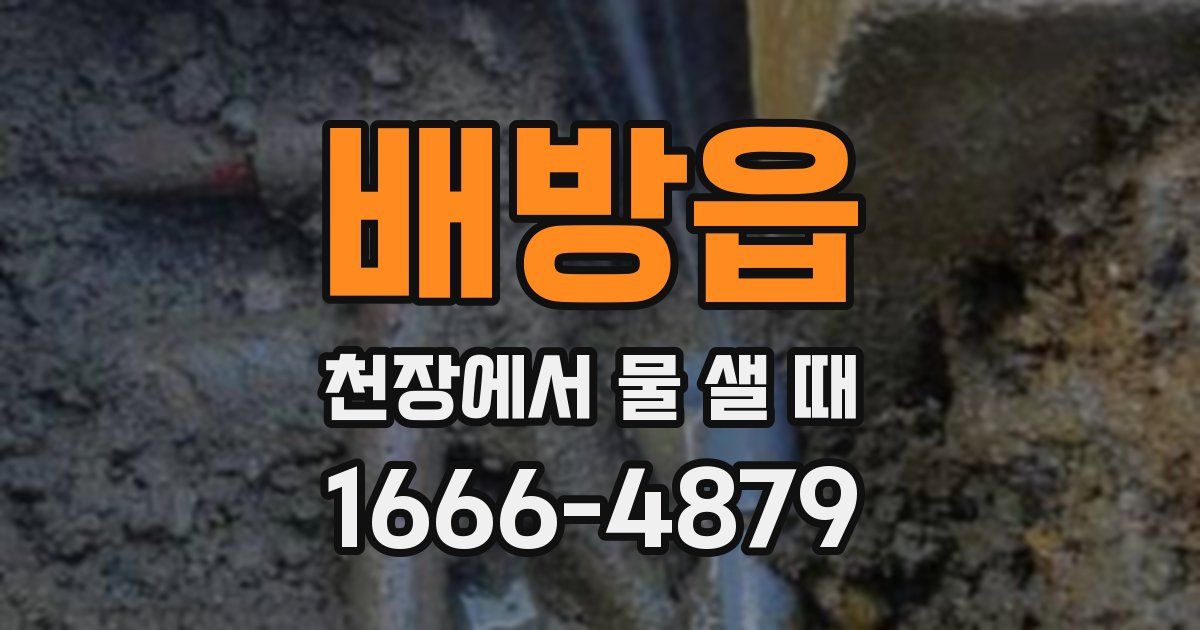 배방읍 천장에서 물 샐 때