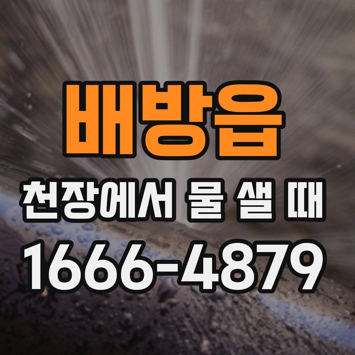 배방읍 천장에서 물 샐 때