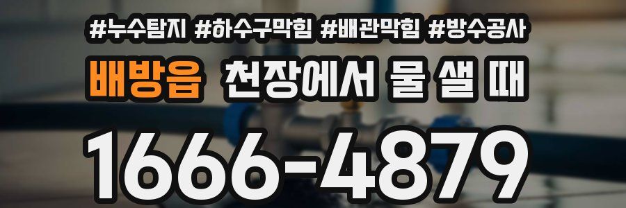 배방읍 천장에서 물 샐 때