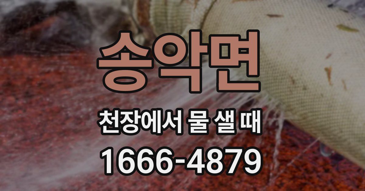 송악면 천장에서 물 샐 때