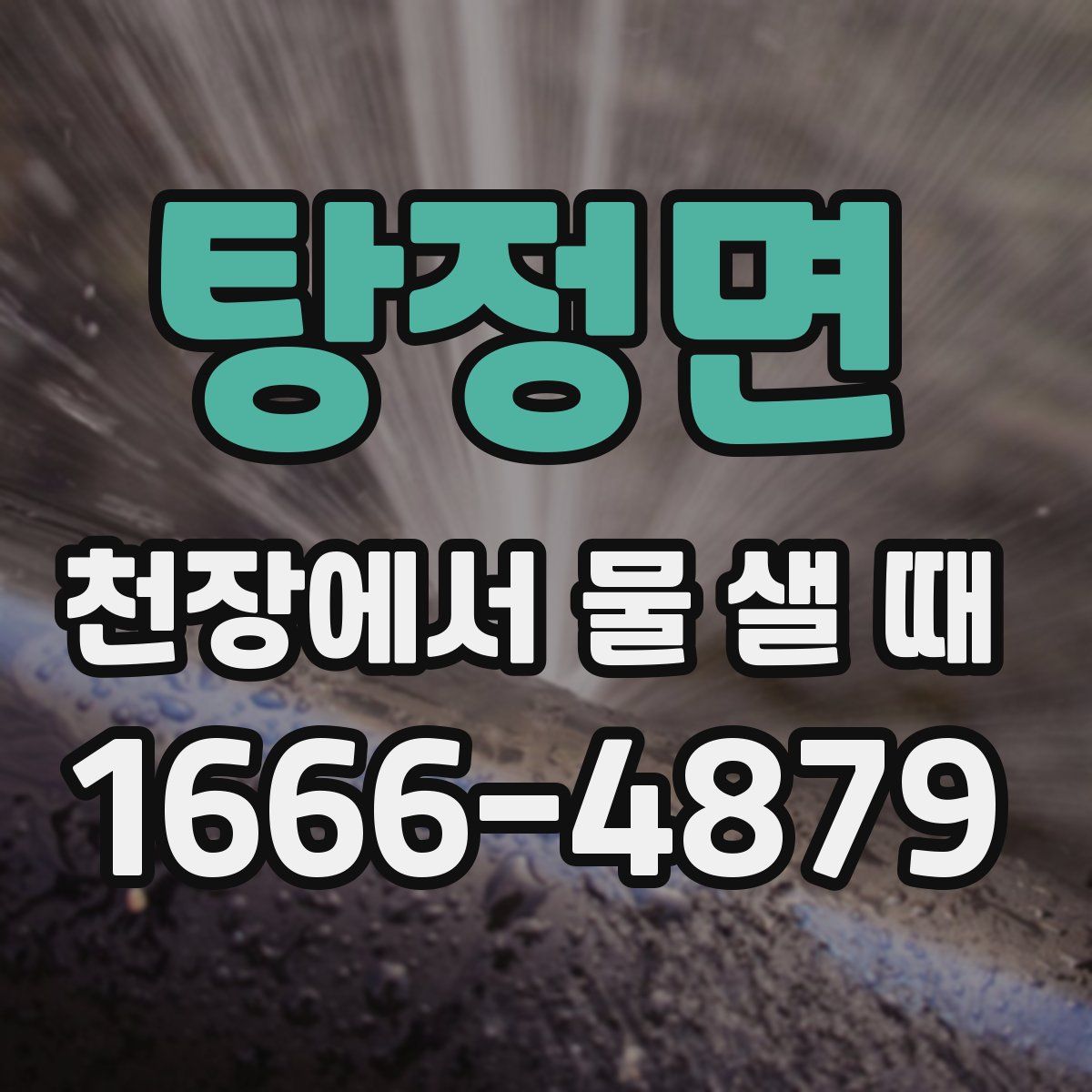 탕정면 천장에서 물 샐 때