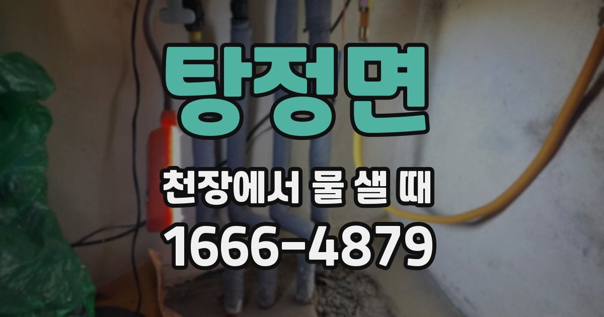 탕정면 천장에서 물 샐 때