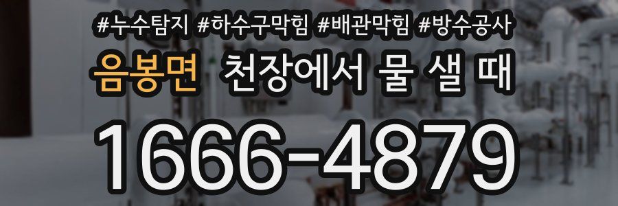 음봉면 천장에서 물 샐 때