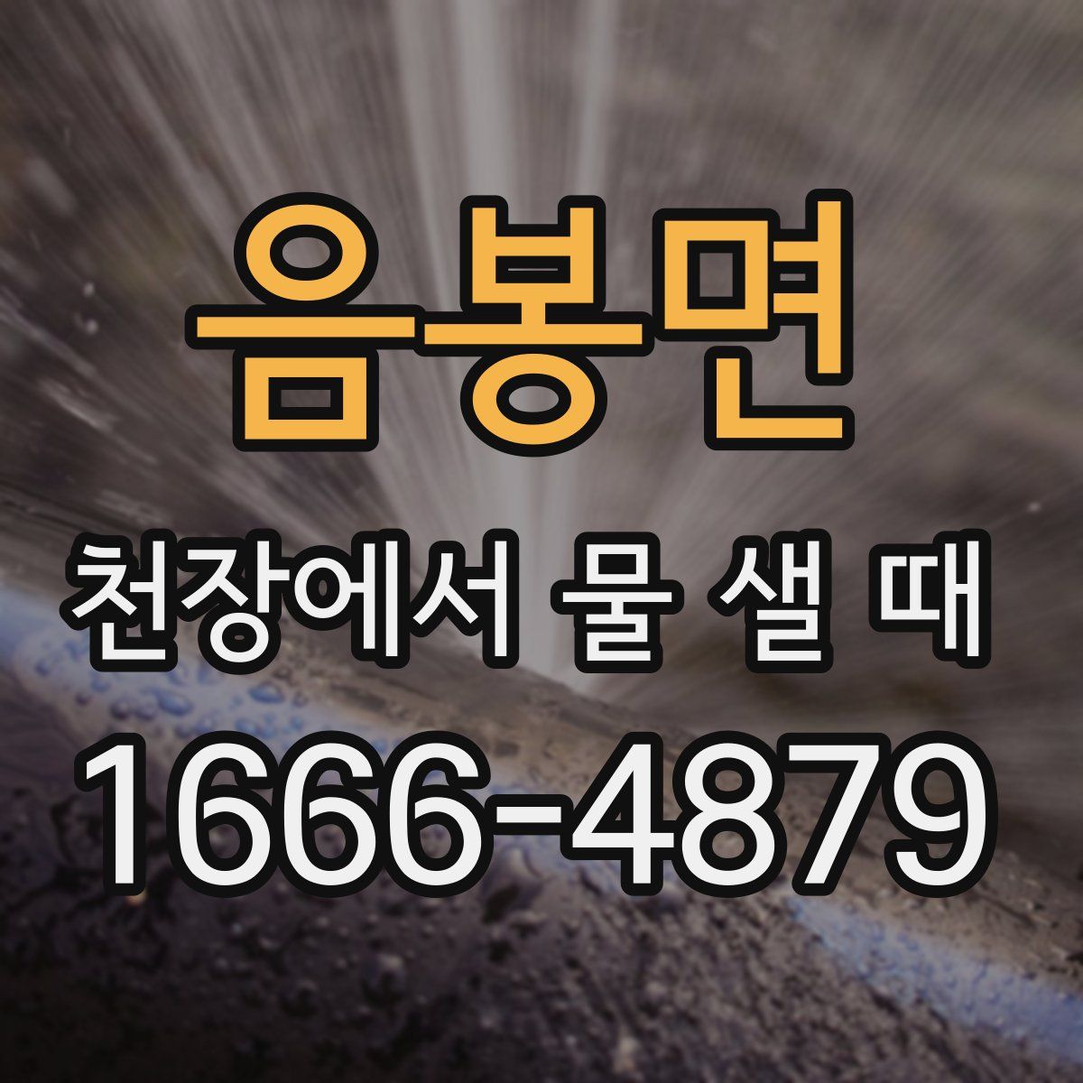 음봉면 천장에서 물 샐 때