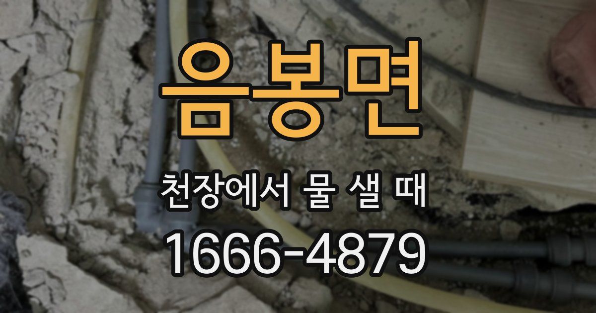 음봉면 천장에서 물 샐 때