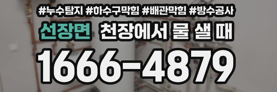 선장면 천장에서 물 샐 때