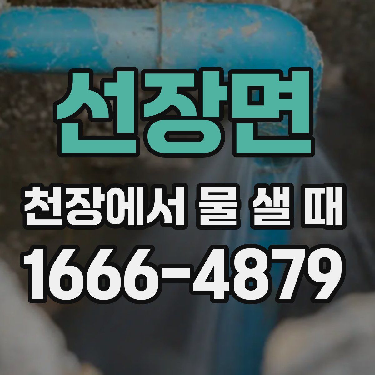선장면 천장에서 물 샐 때