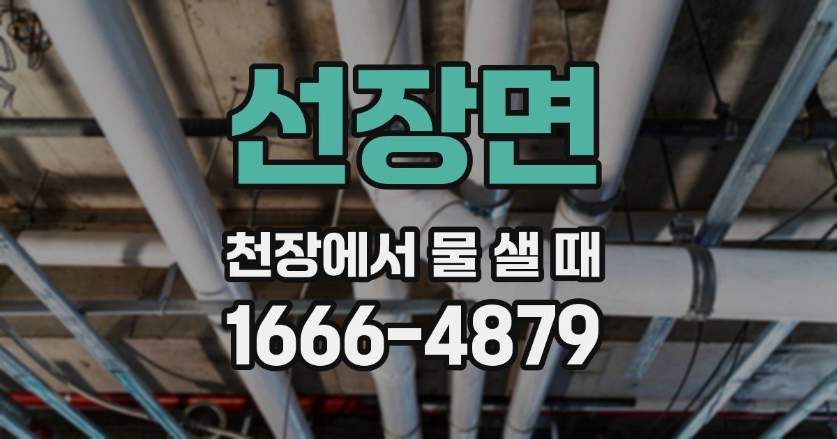 선장면 천장에서 물 샐 때