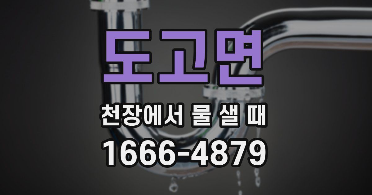 도고면 천장에서 물 샐 때