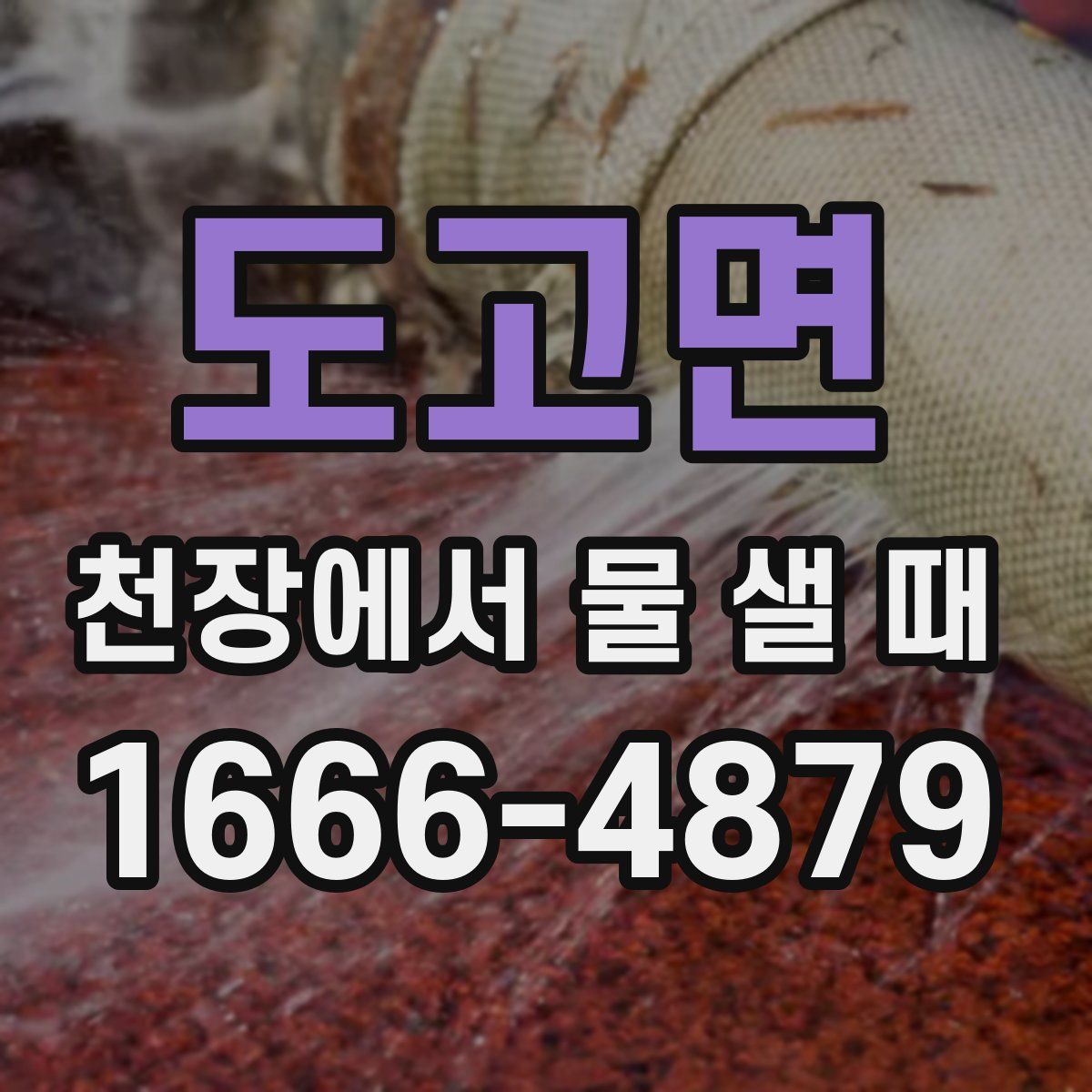 도고면 천장에서 물 샐 때
