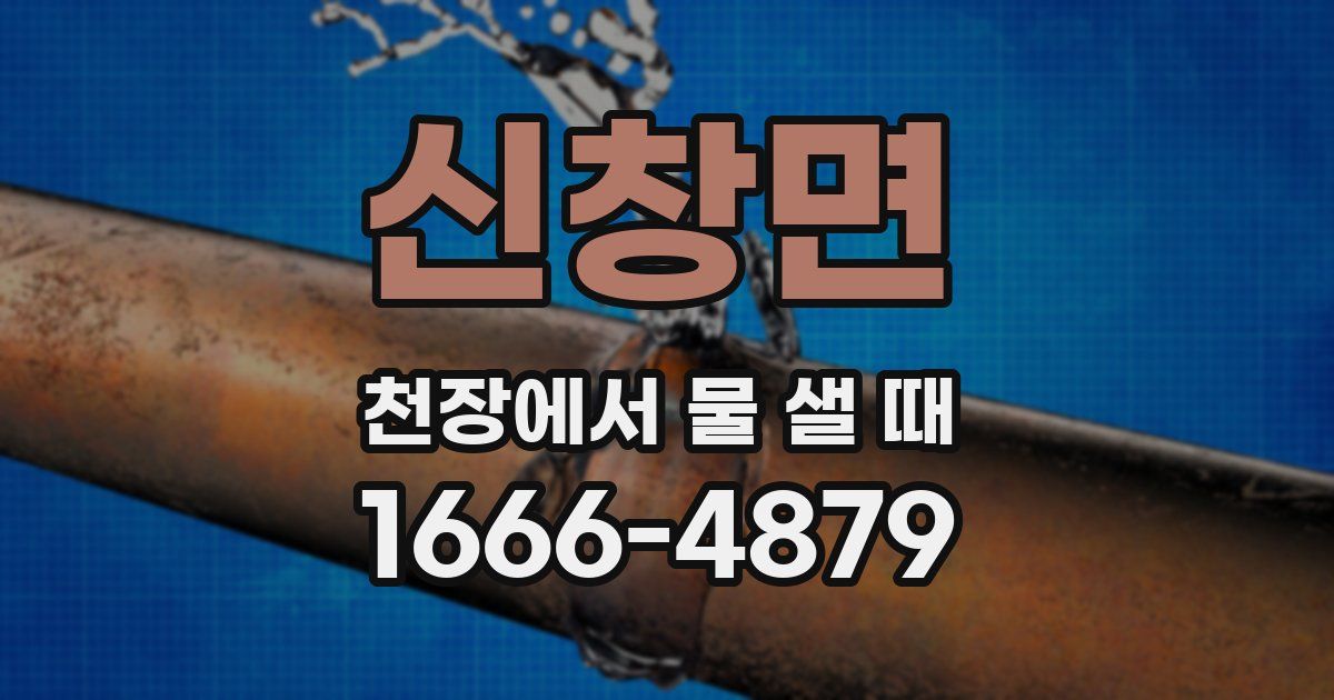 신창면 천장에서 물 샐 때