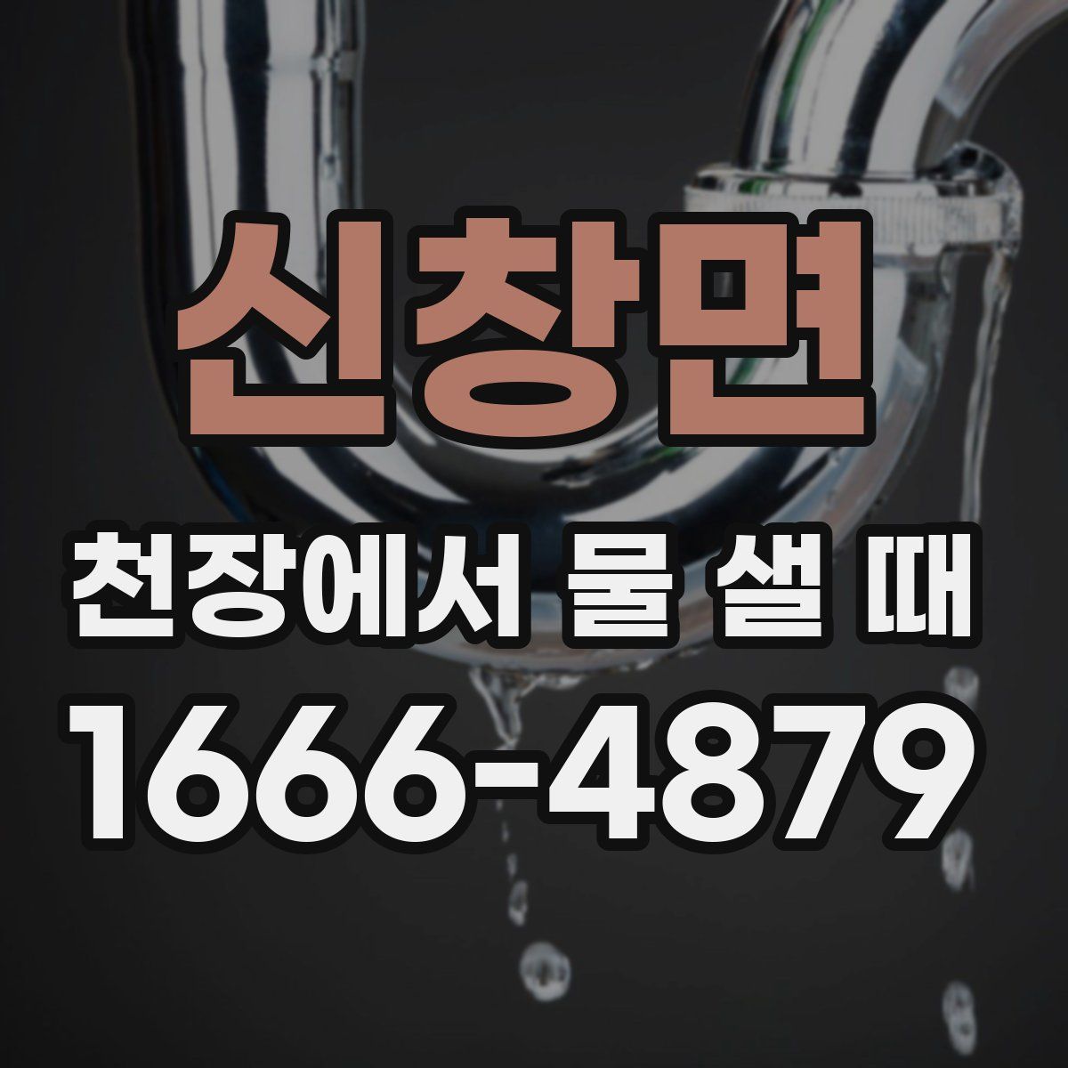 신창면 천장에서 물 샐 때