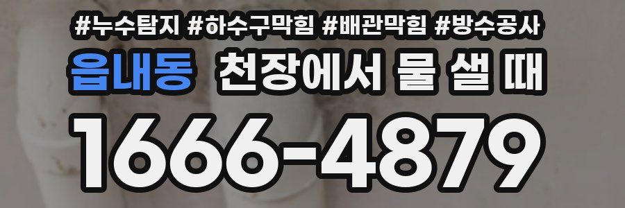 읍내동 천장에서 물 샐 때