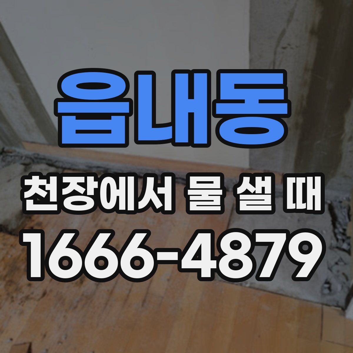 읍내동 천장에서 물 샐 때