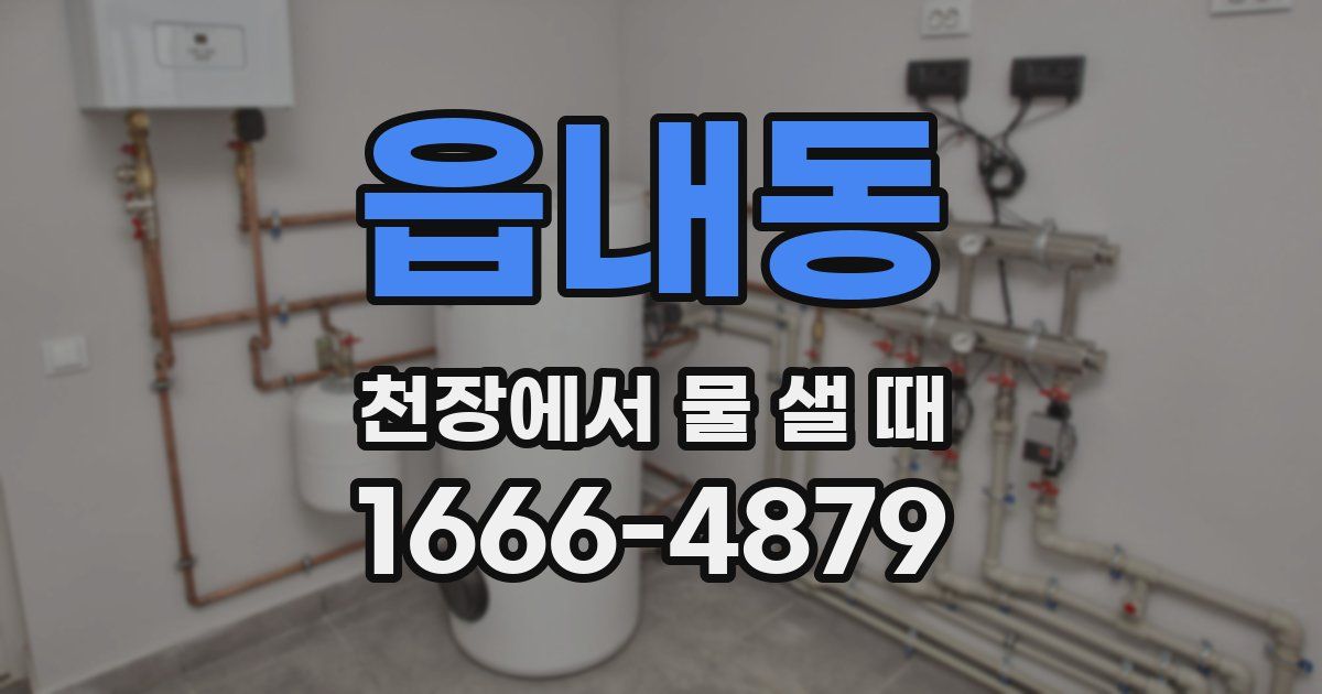 읍내동 천장에서 물 샐 때