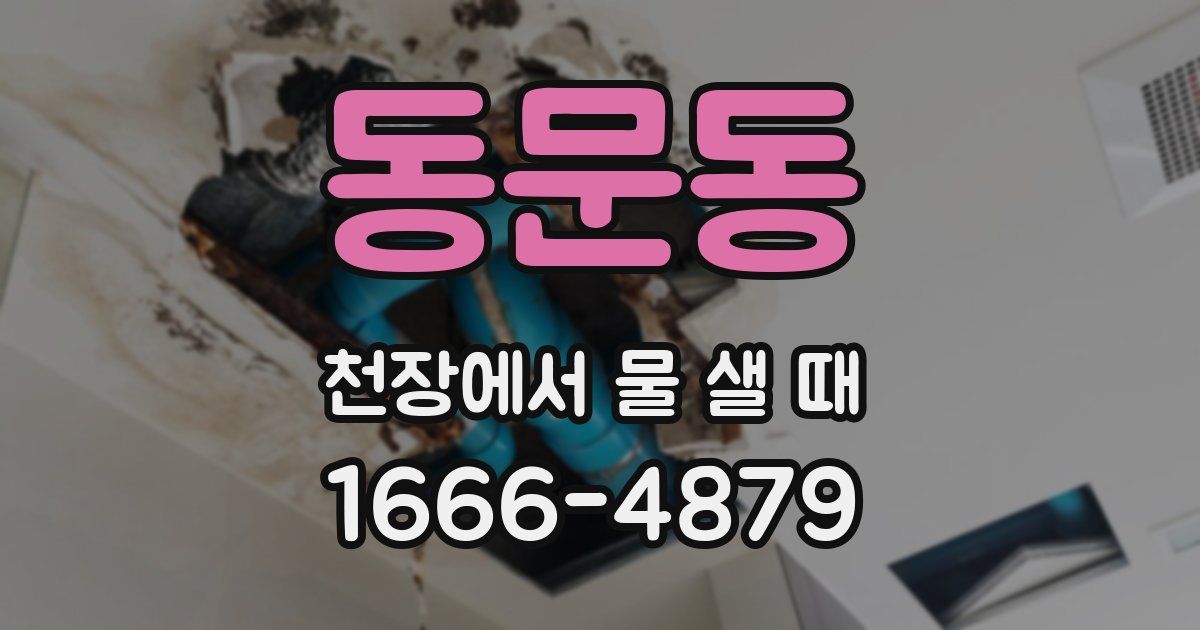 동문동 천장에서 물 샐 때