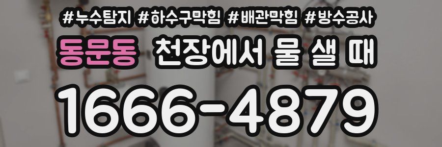 동문동 천장에서 물 샐 때