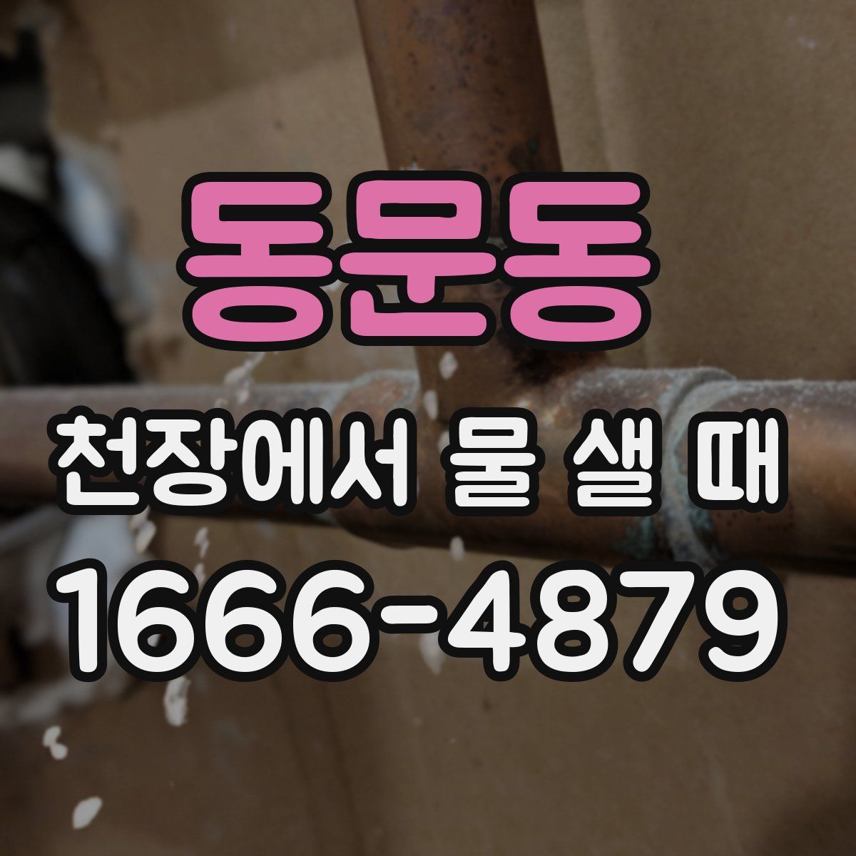 동문동 천장에서 물 샐 때