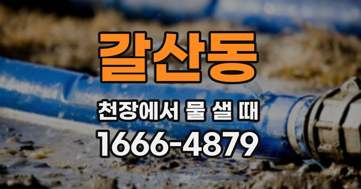 갈산동 천장에서 물 샐 때