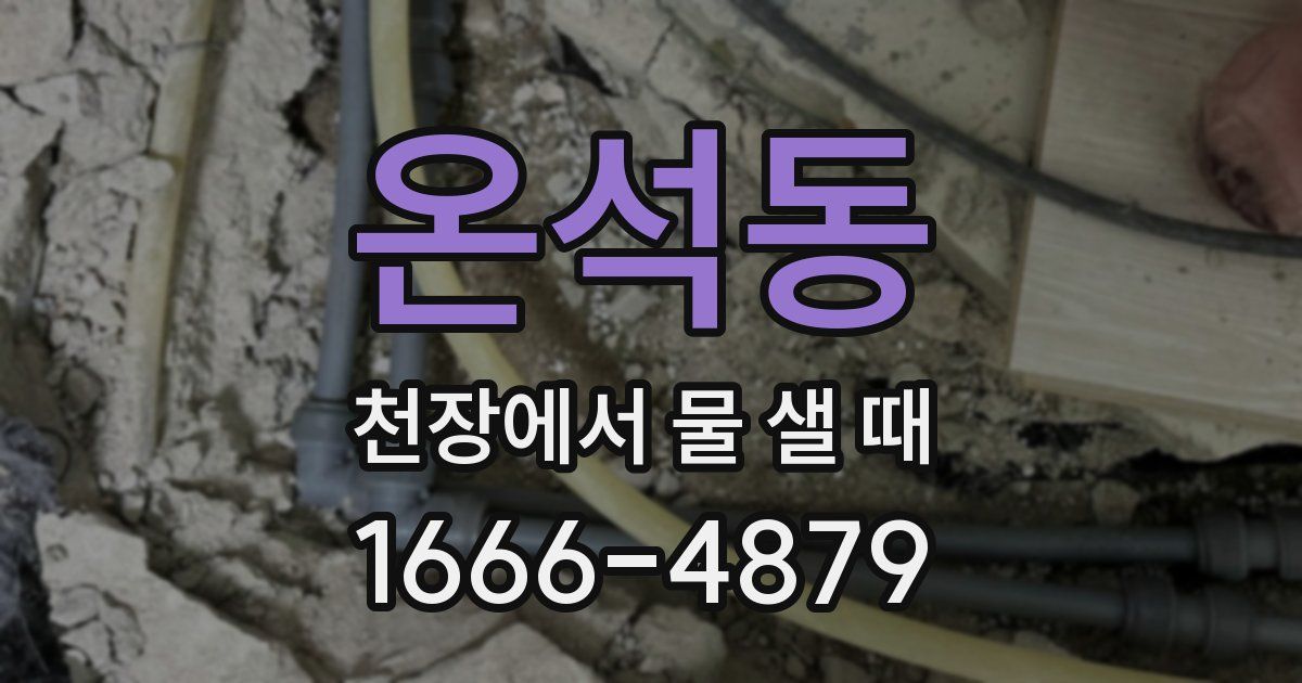 온석동 천장에서 물 샐 때