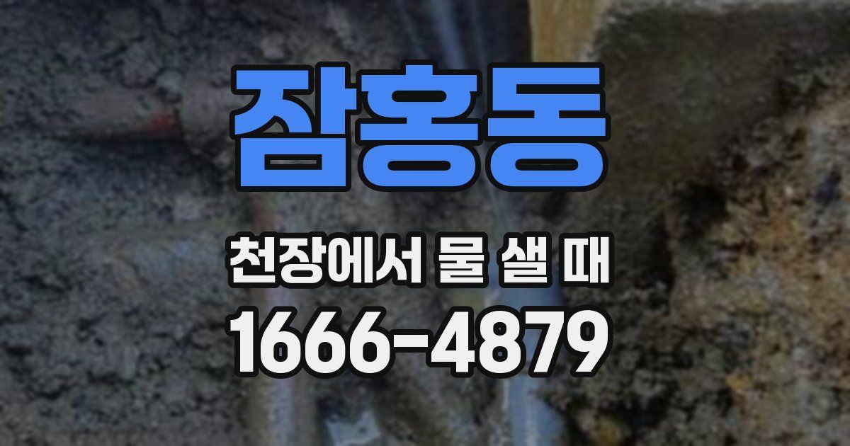 잠홍동 천장에서 물 샐 때