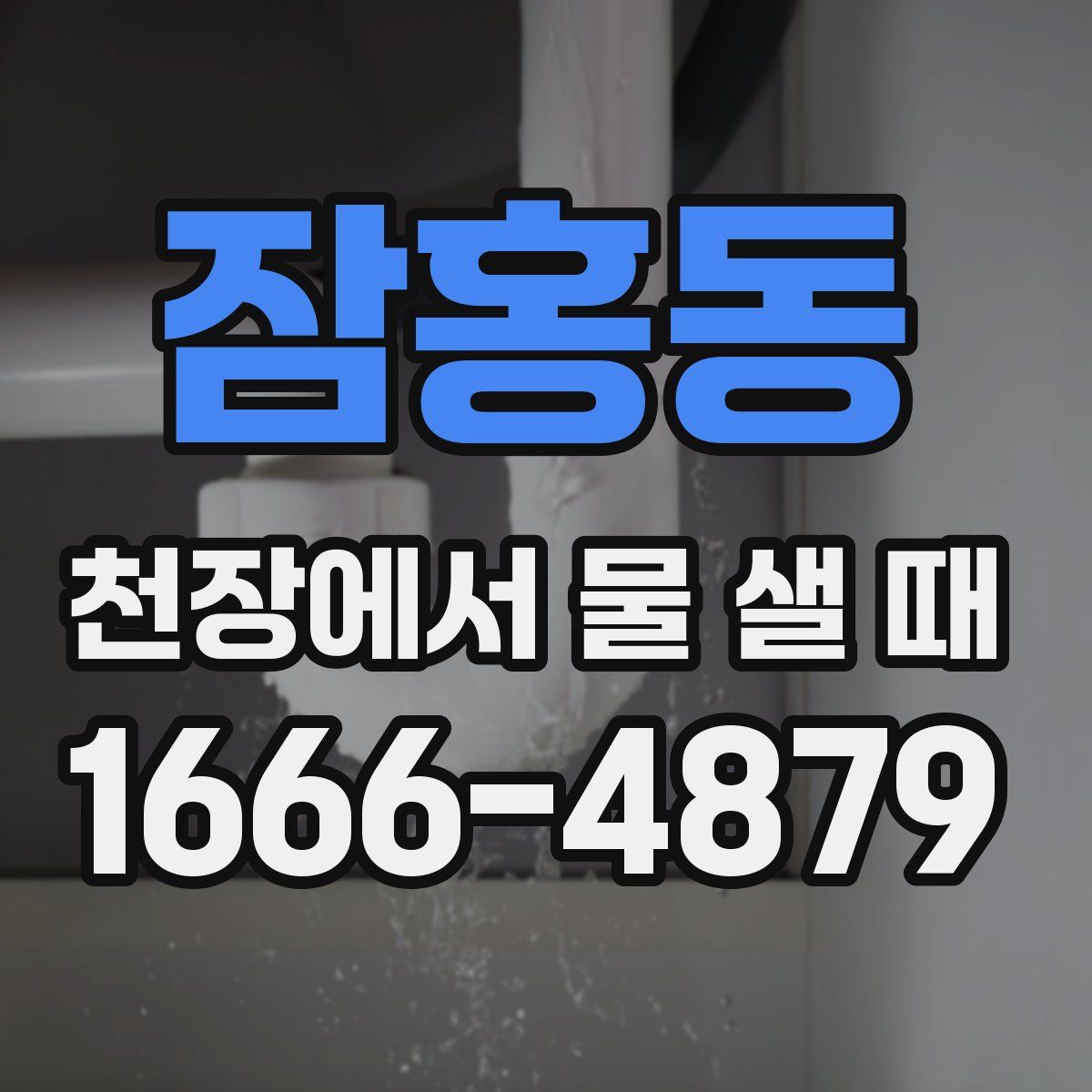잠홍동 천장에서 물 샐 때