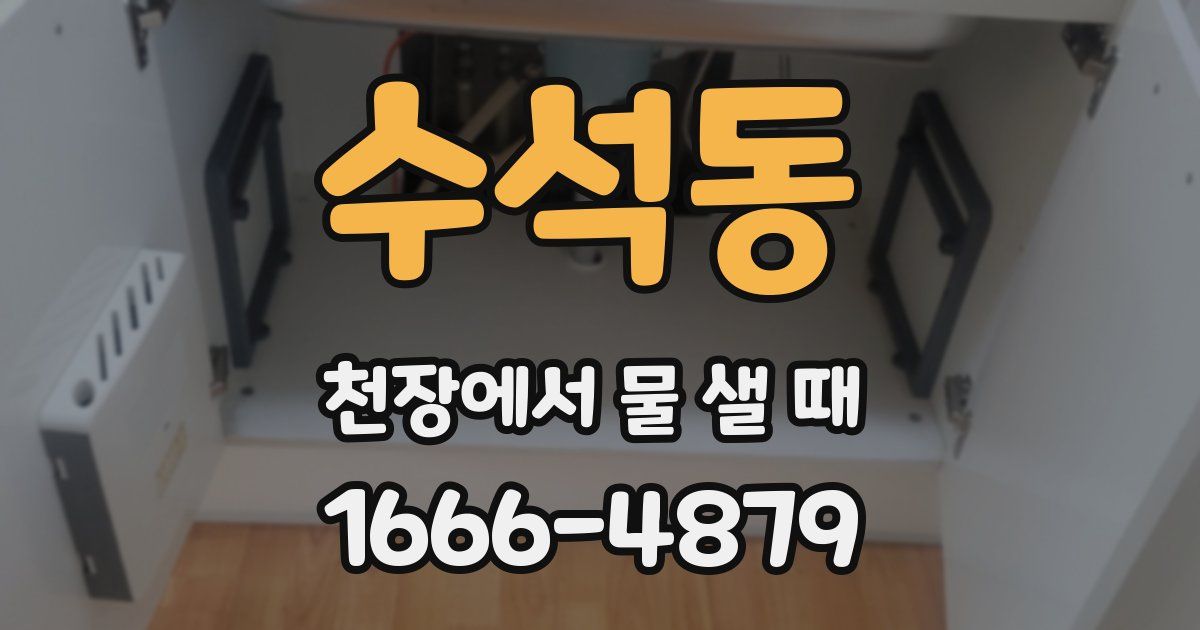 수석동 천장에서 물 샐 때