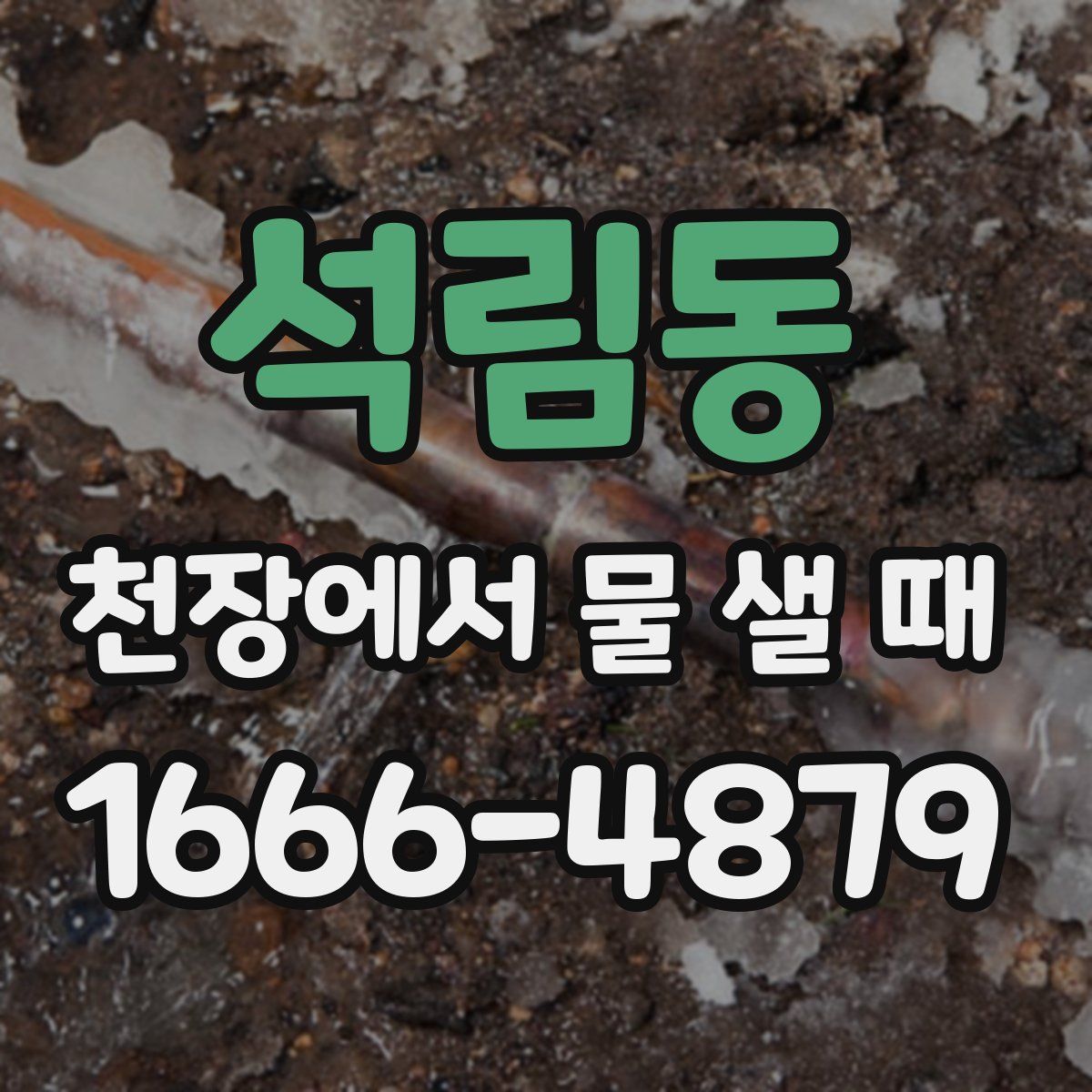 석림동 천장에서 물 샐 때
