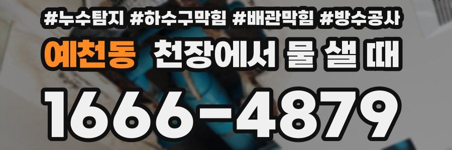 예천동 천장에서 물 샐 때