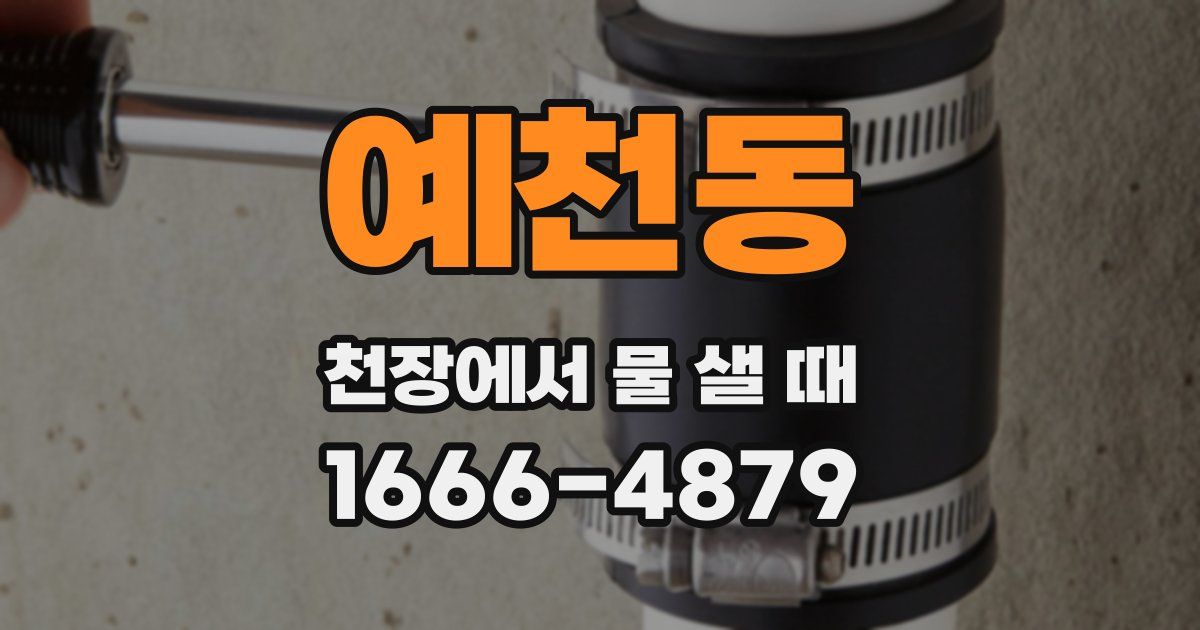 예천동 천장에서 물 샐 때