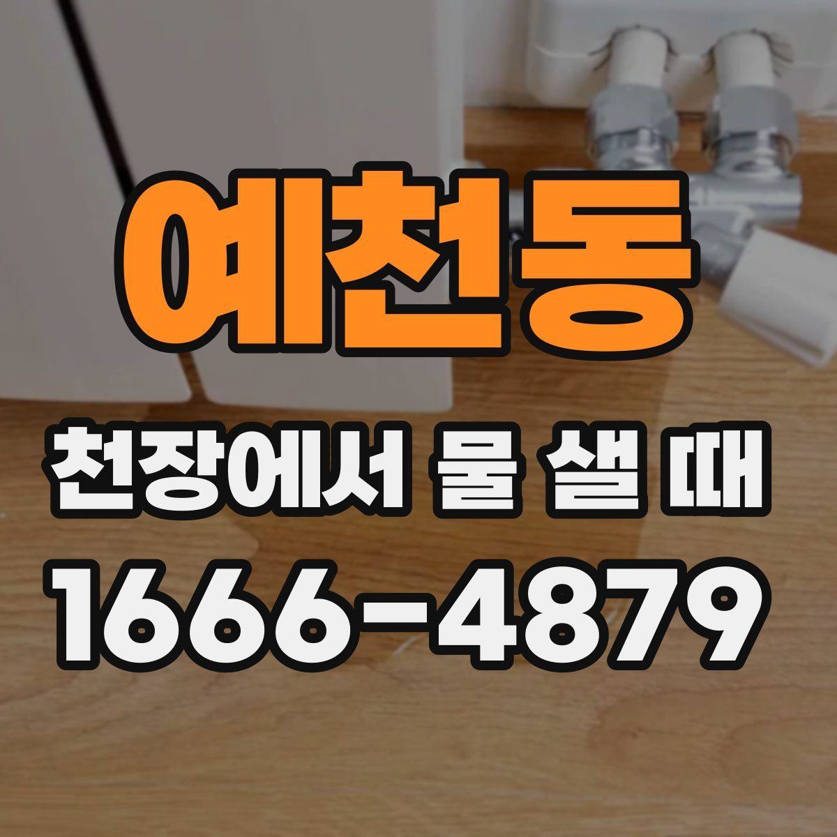 예천동 천장에서 물 샐 때