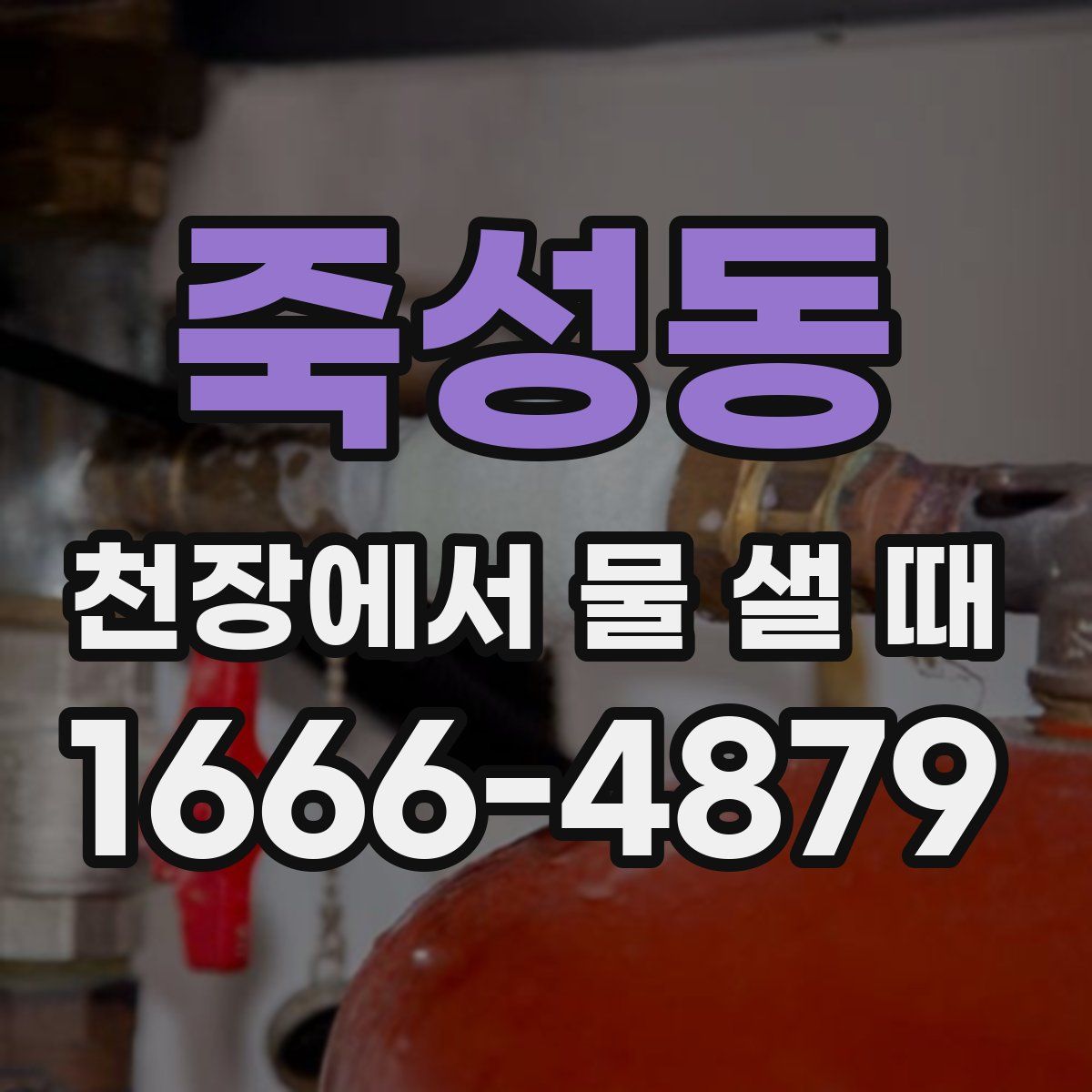 죽성동 천장에서 물 샐 때
