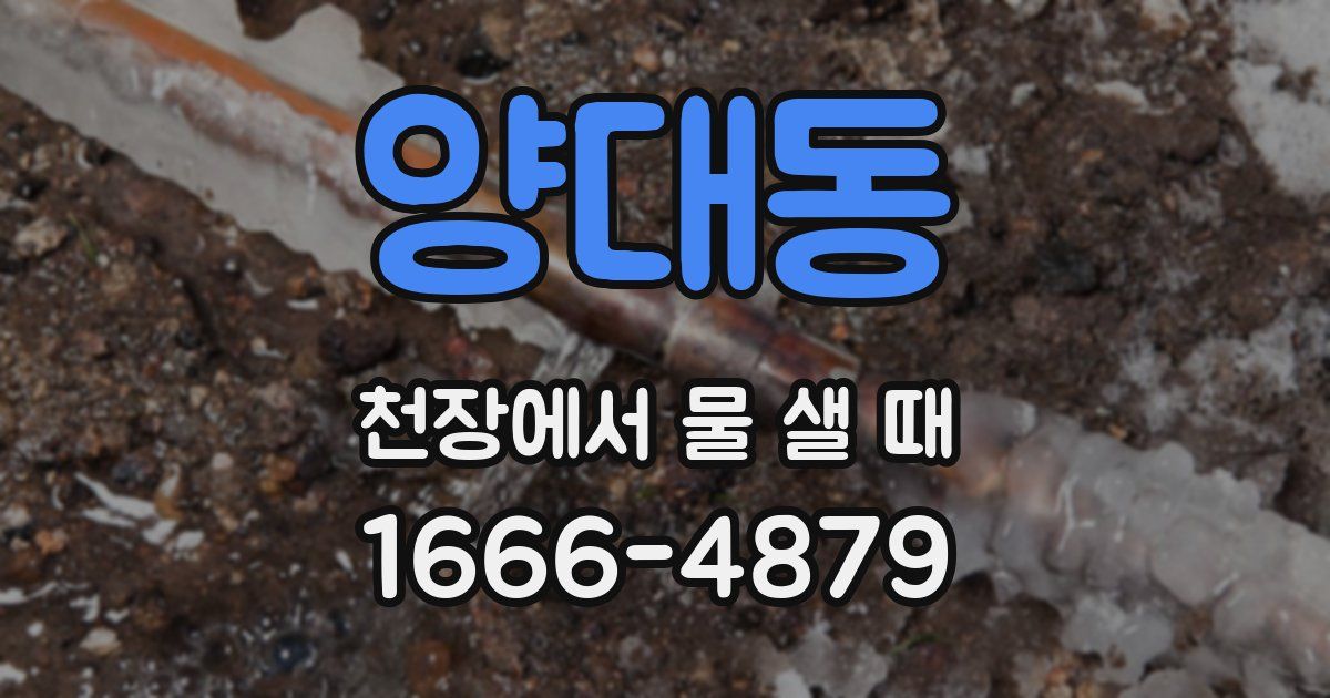 양대동 천장에서 물 샐 때