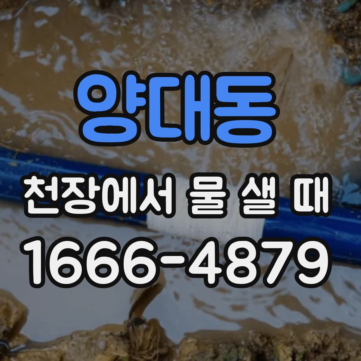 양대동 천장에서 물 샐 때