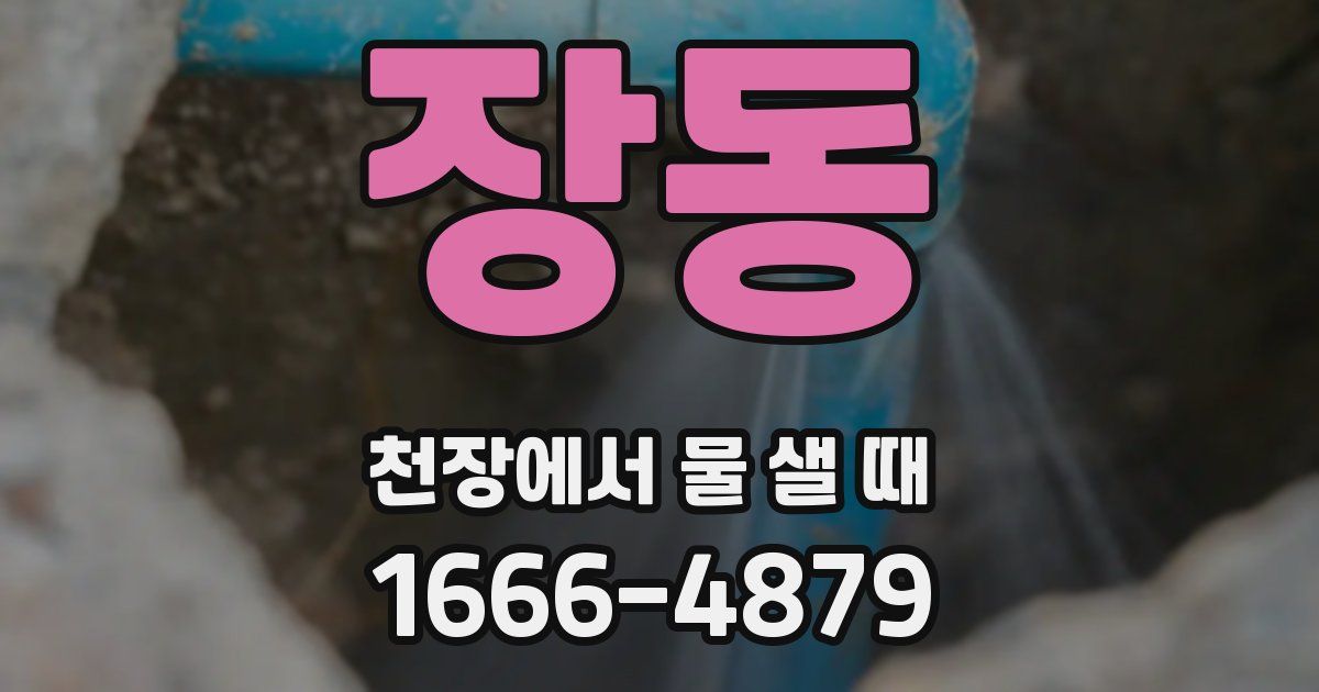 장동 천장에서 물 샐 때