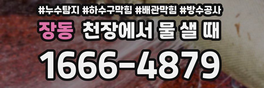 장동 천장에서 물 샐 때