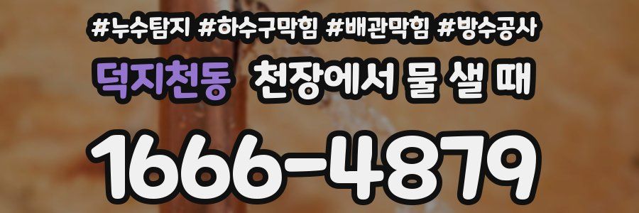 덕지천동 천장에서 물 샐 때