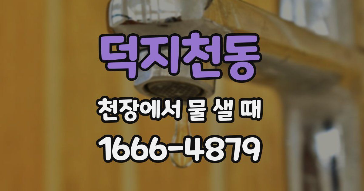 덕지천동 천장에서 물 샐 때