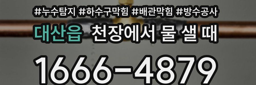 대산읍 천장에서 물 샐 때