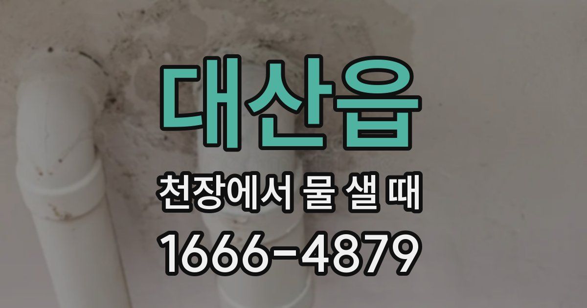대산읍 천장에서 물 샐 때