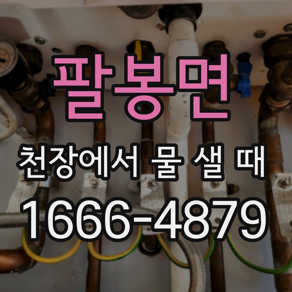 팔봉면 천장에서 물 샐 때