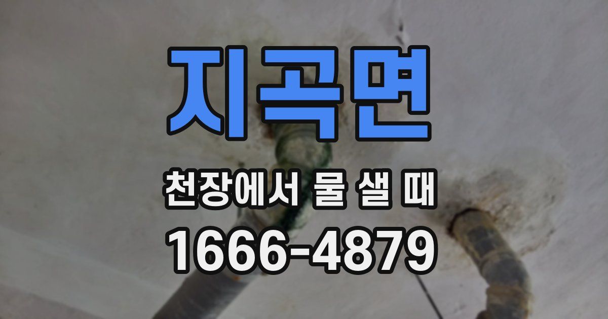 지곡면 천장에서 물 샐 때