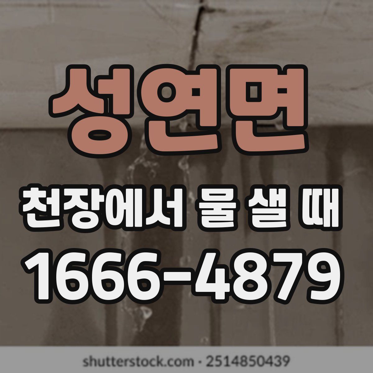 성연면 천장에서 물 샐 때