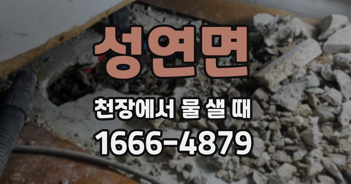 성연면 천장에서 물 샐 때