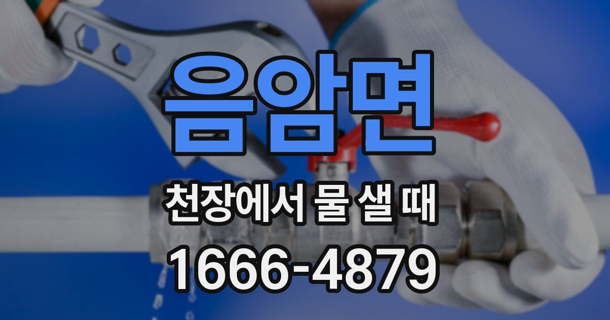 음암면 천장에서 물 샐 때
