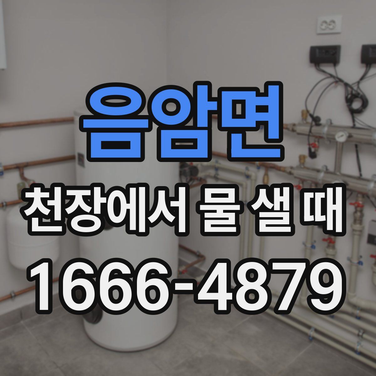 음암면 천장에서 물 샐 때
